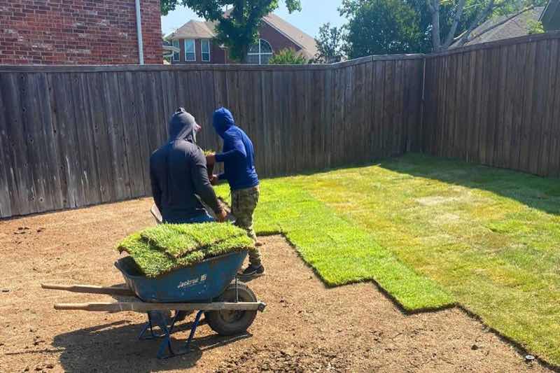 Lawn Replacement near Haltom City
