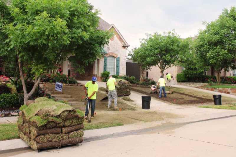 Lawn Replacement near Fort Worth