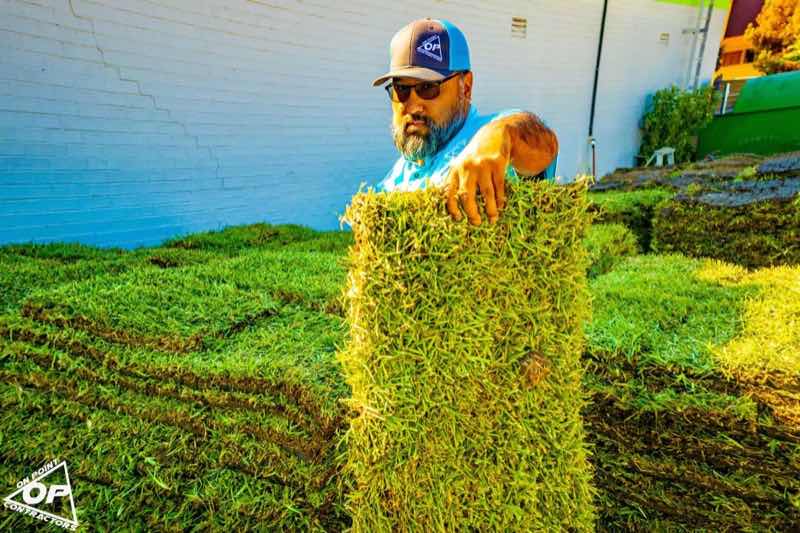 Lawn Replacement in North Richland Hills